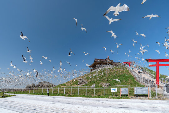 八戸市　住宅支援